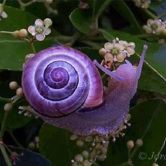 🌍five star seller - check my love notes - Picture 5 of 16